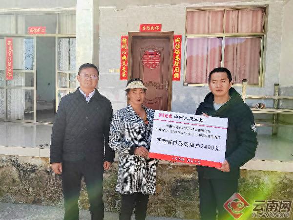 仅投180元竟获赔960元！核桃价格指数保险为何如此神奇？  第1张
