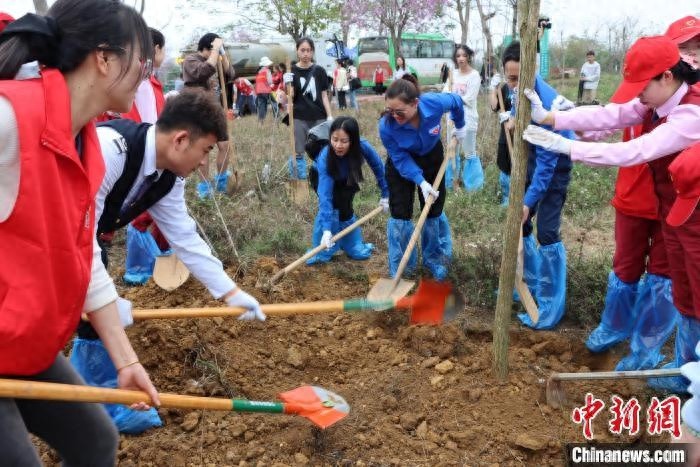中越青年共植友谊林，见证世代友谊与希望！你愿意加入吗？
