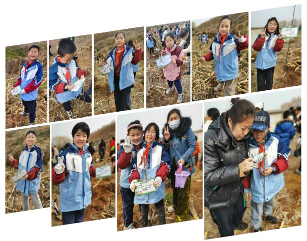 南通路小学2021级4班：一棵果树，如何改变孩子们的童年？  第4张