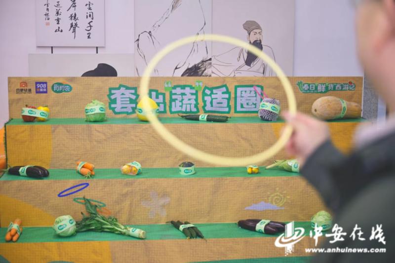 肥西月月农快闪展销活动圆满落幕！你错过了这场乡村盛宴吗？  第2张