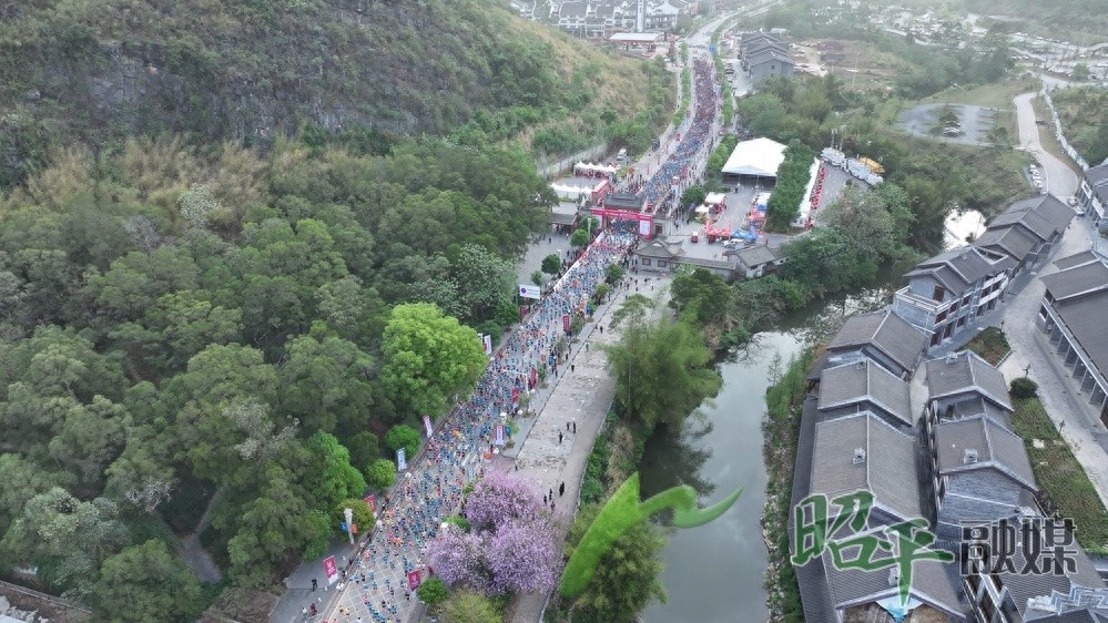 广西贺州这场马拉松竟靠1000吨碳汇实现碳中和！零碳奔跑模式你敢挑战吗？  第1张