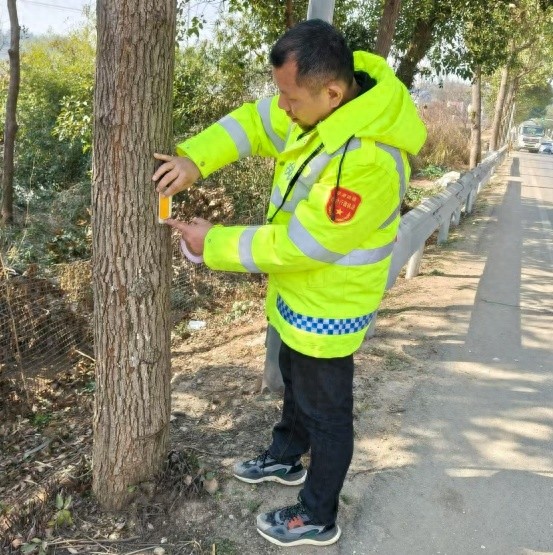 宁乡市东湖塘镇夜间行车不再摸黑！6000个反光路标如何照亮归家之路？