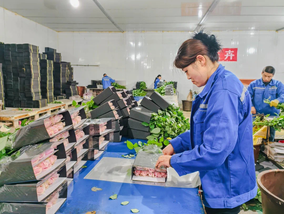从农民到行家，20多年专注种‘幸福花’，李林如何创造花卉奇迹？  第4张