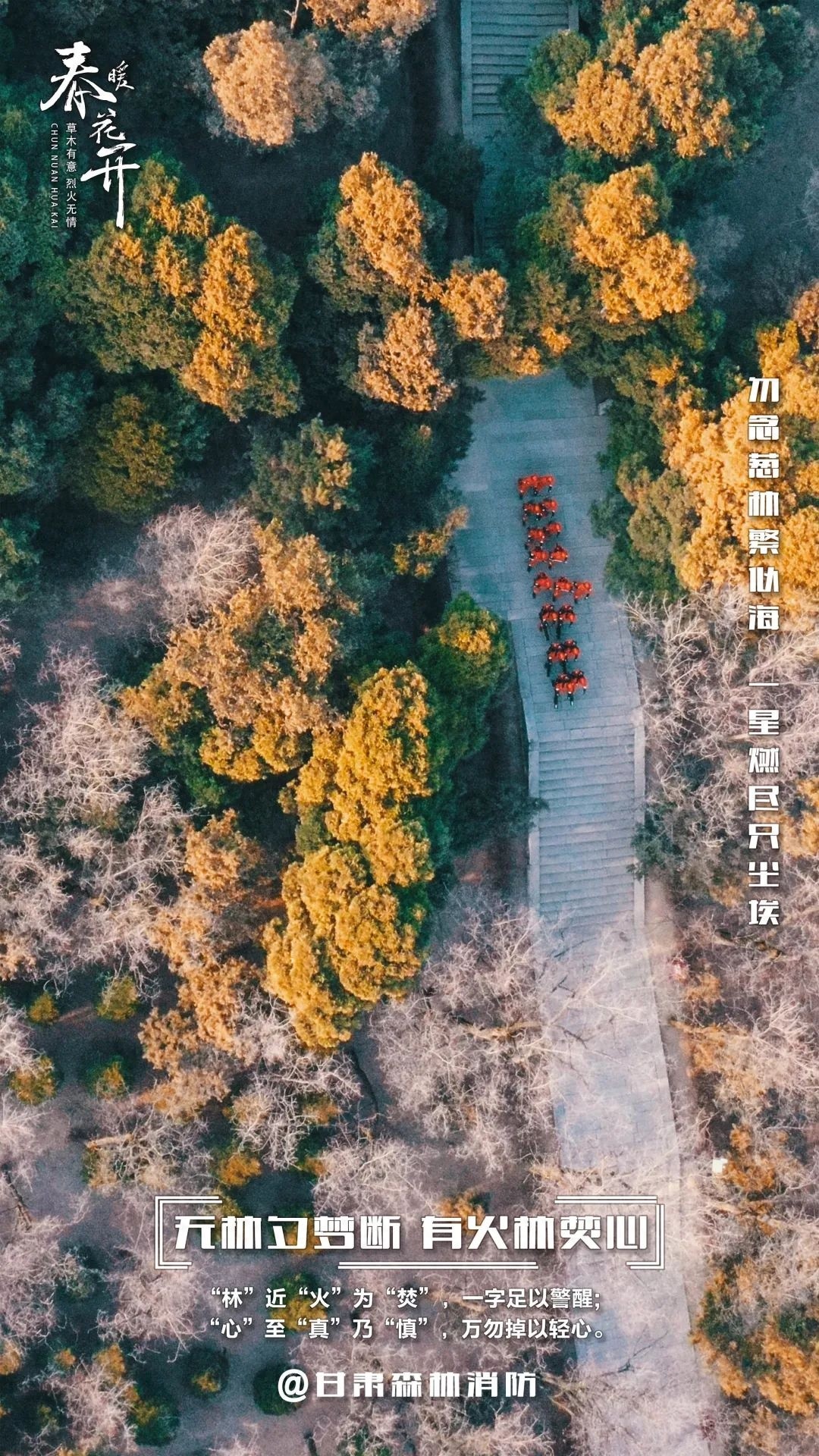 森林防火有多重要？一场大火竟能毁掉百年心血