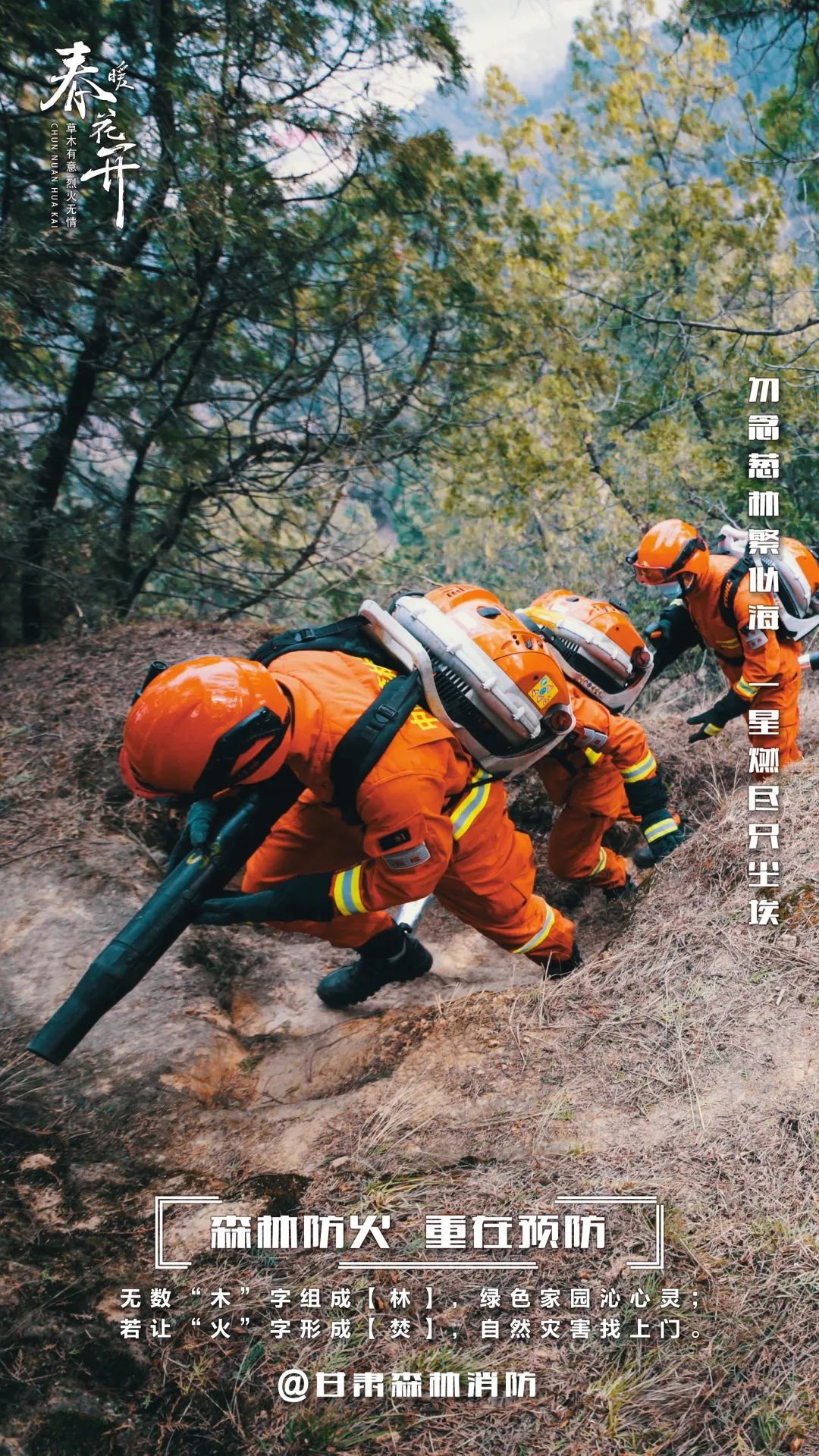 森林防火有多重要？一场大火竟能毁掉百年心血  第2张