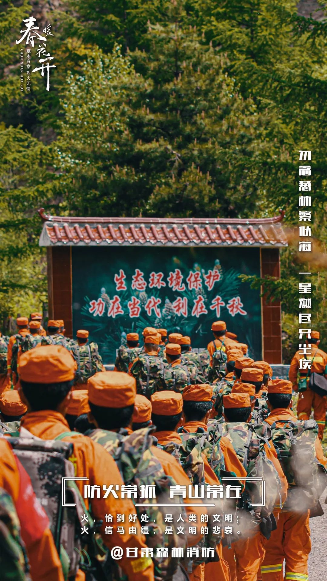 森林防火有多重要？一场大火竟能毁掉百年心血  第3张