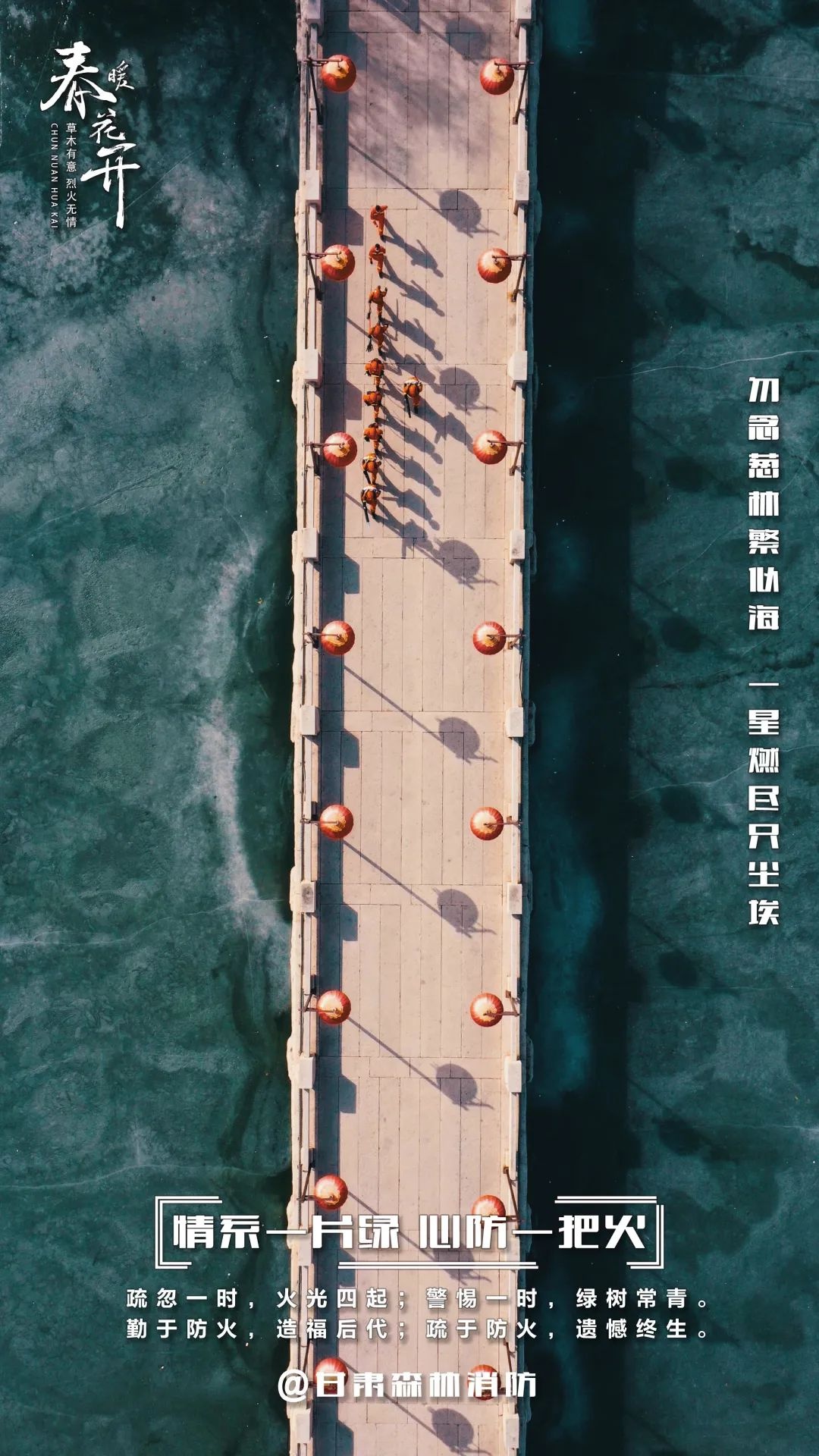 森林防火有多重要？一场大火竟能毁掉百年心血  第5张