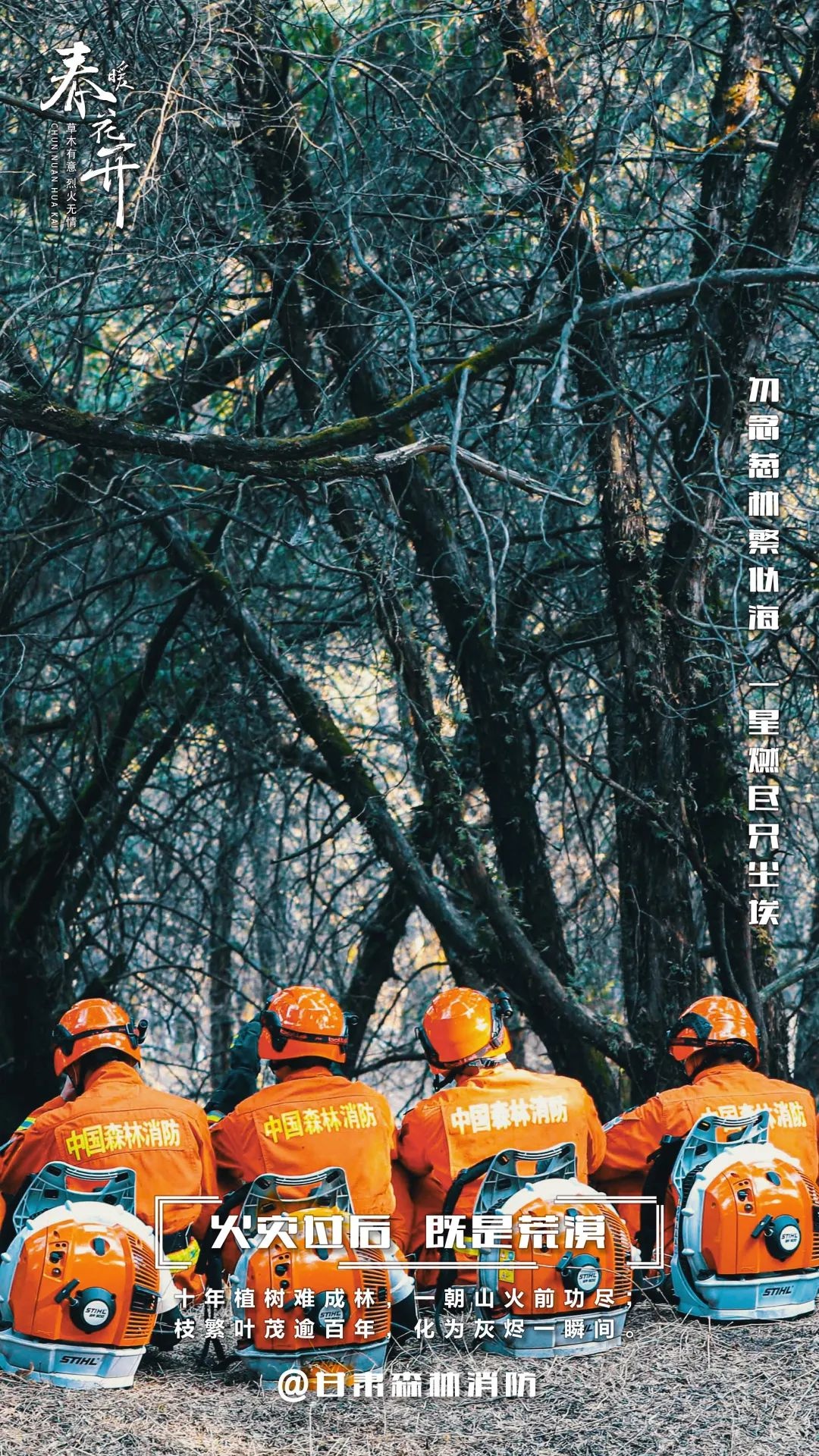 森林防火有多重要？一场大火竟能毁掉百年心血  第6张