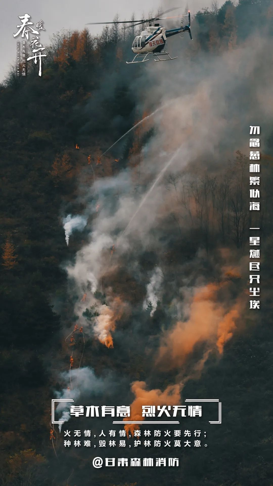 森林防火有多重要？一场大火竟能毁掉百年心血  第7张