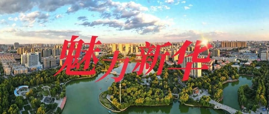 强风考验后！石家庄植物园2万余株80余品种牡丹绽放，不去看看？