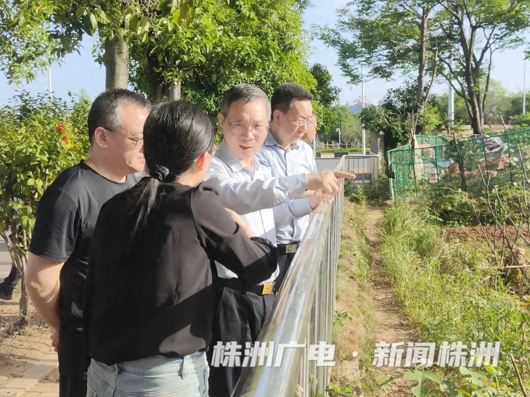 15号市长陈恢清多地调研生态整改，扬尘污水治理能否取得显著成效？