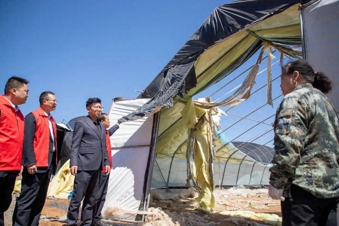 大风突袭！阳城县西河乡合作社损失20万，农商银行能否力挽狂澜？  第1张