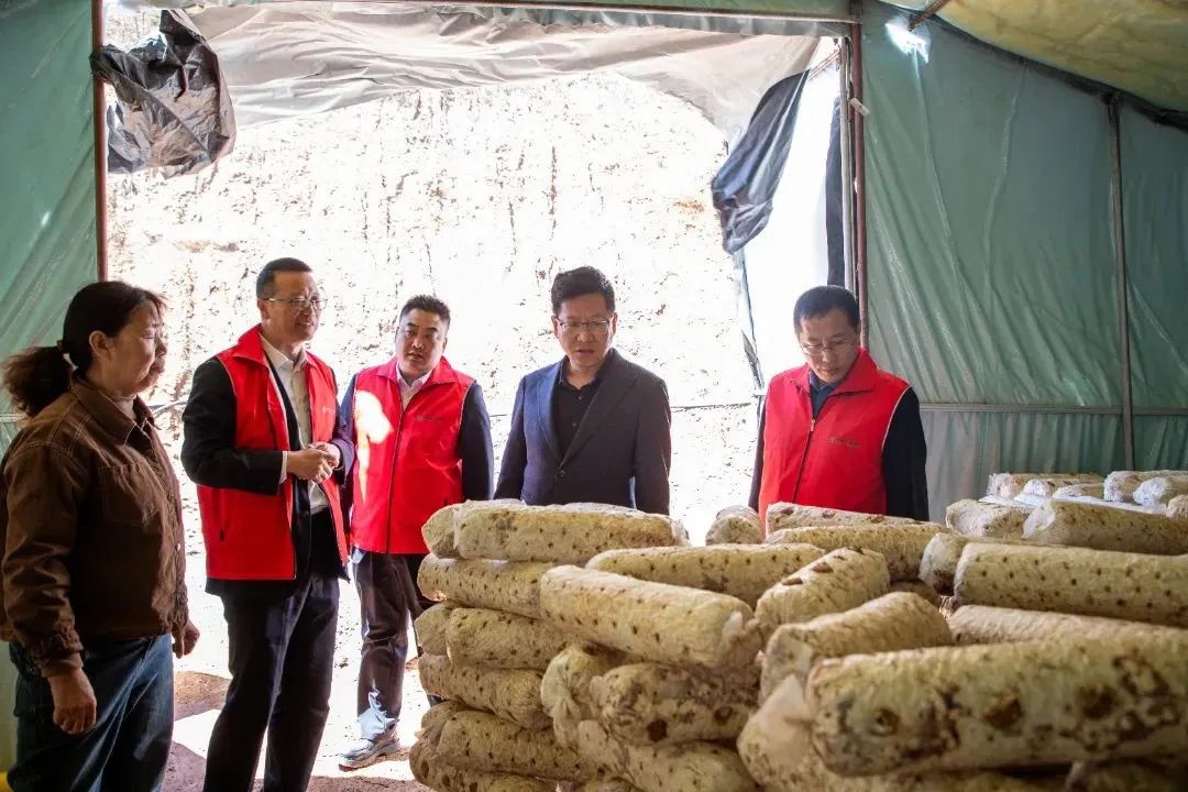 大风突袭！阳城县西河乡合作社损失20万，农商银行能否力挽狂澜？  第2张