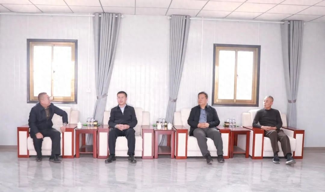 4月15日区委书记李锐调研项目建设，能否打造经济发展新引擎？
