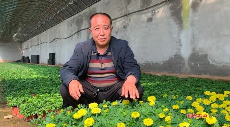 县城绿化大升级！积石山如何用创新养护打造春色满城？  第4张