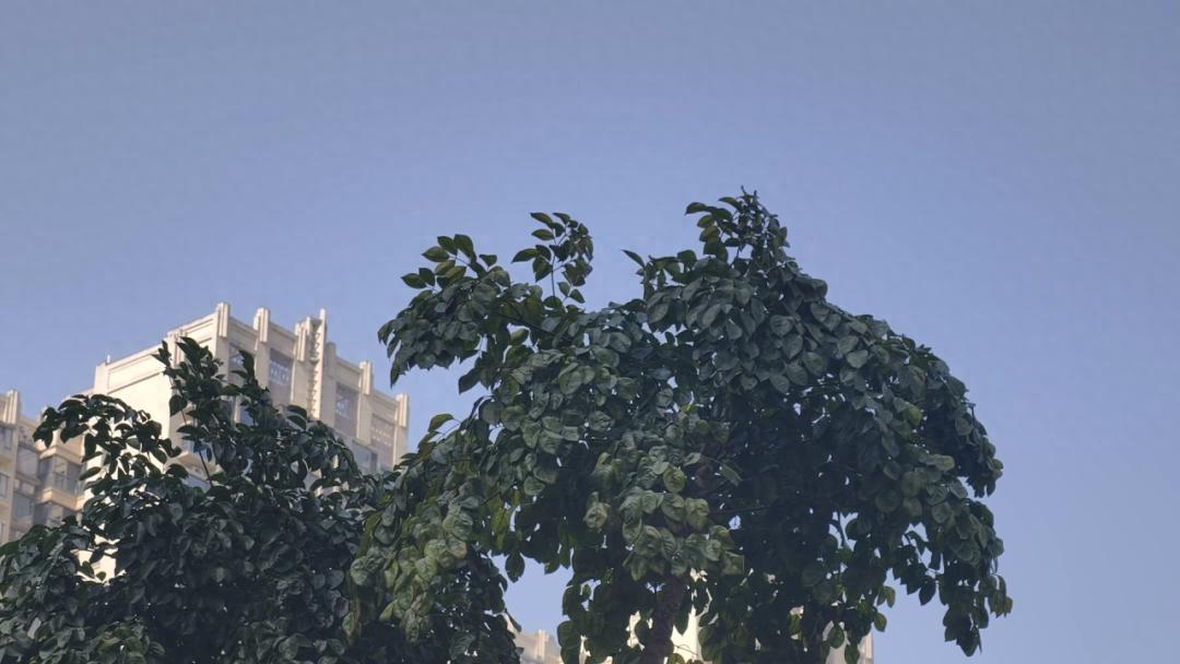 4月广西广东竟现罕见沙尘天！PM10仍威胁呼吸，后续空气质量如何？  第1张