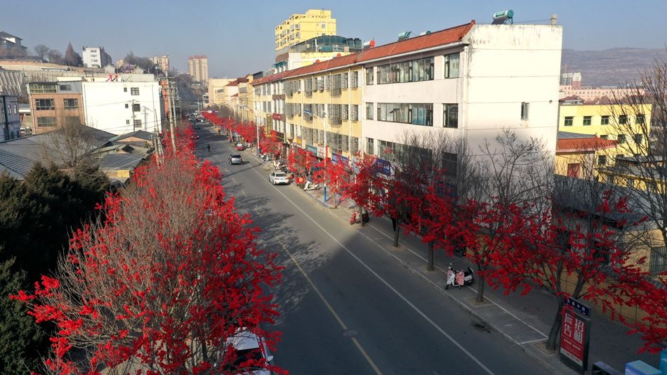 清水县春节装饰大揭秘！3000灯笼与桃花共舞，你准备好迎接这场视觉盛宴了吗？  第8张
