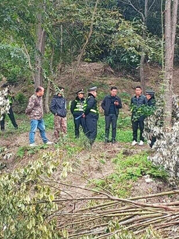 黄果树旅游区惊现滥伐林木案！某公司为何敢如此大胆？