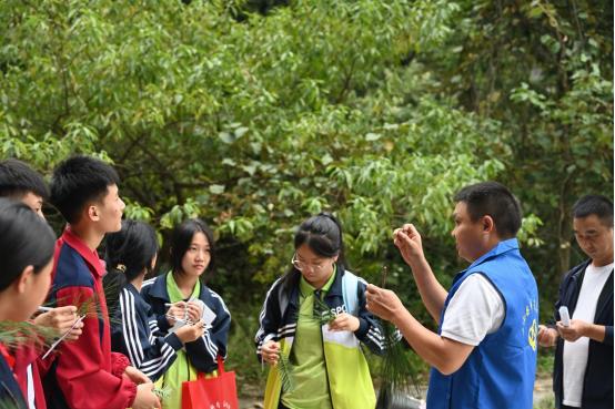 雷公山自然教育科普活动为何被评为全国优秀？揭秘背后的三大亮点  第5张