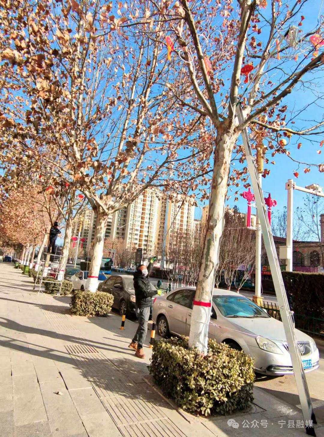 宁县春节氛围大揭秘：火红灯笼与彩灯如何点亮蛇年？  第1张