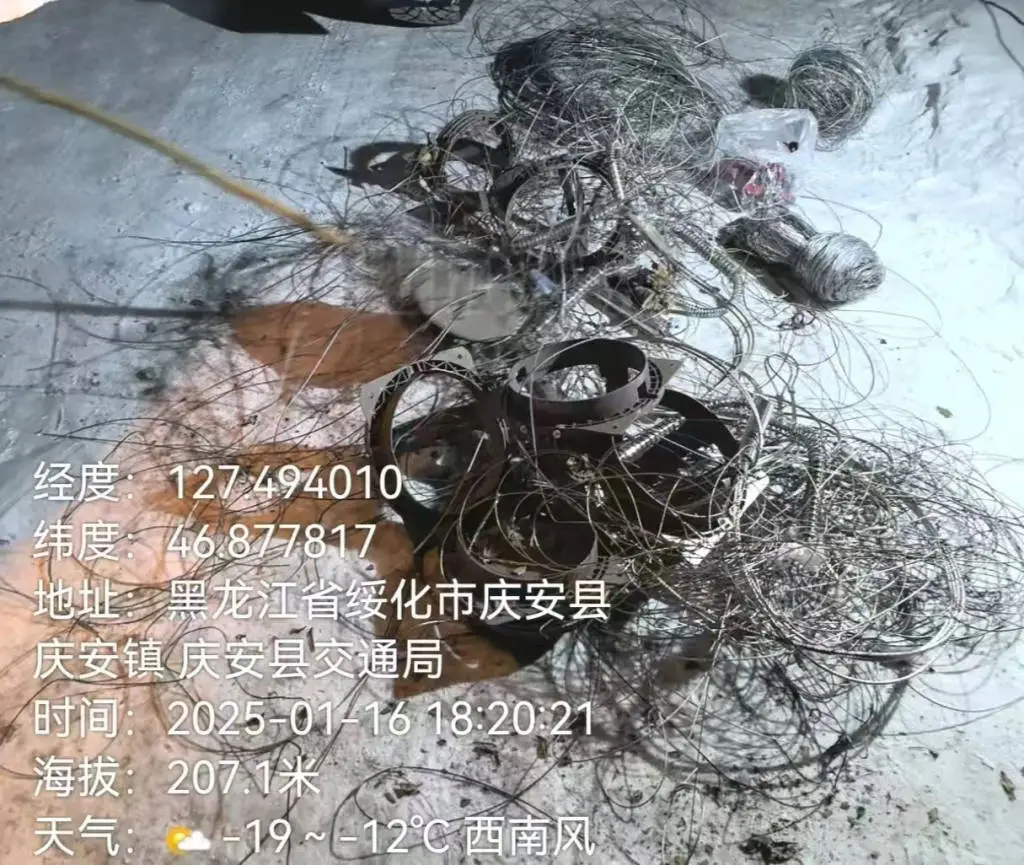 2025年野生动物命悬一线！黑龙江林区惊现非法猎捕，谁来拯救它们？  第4张