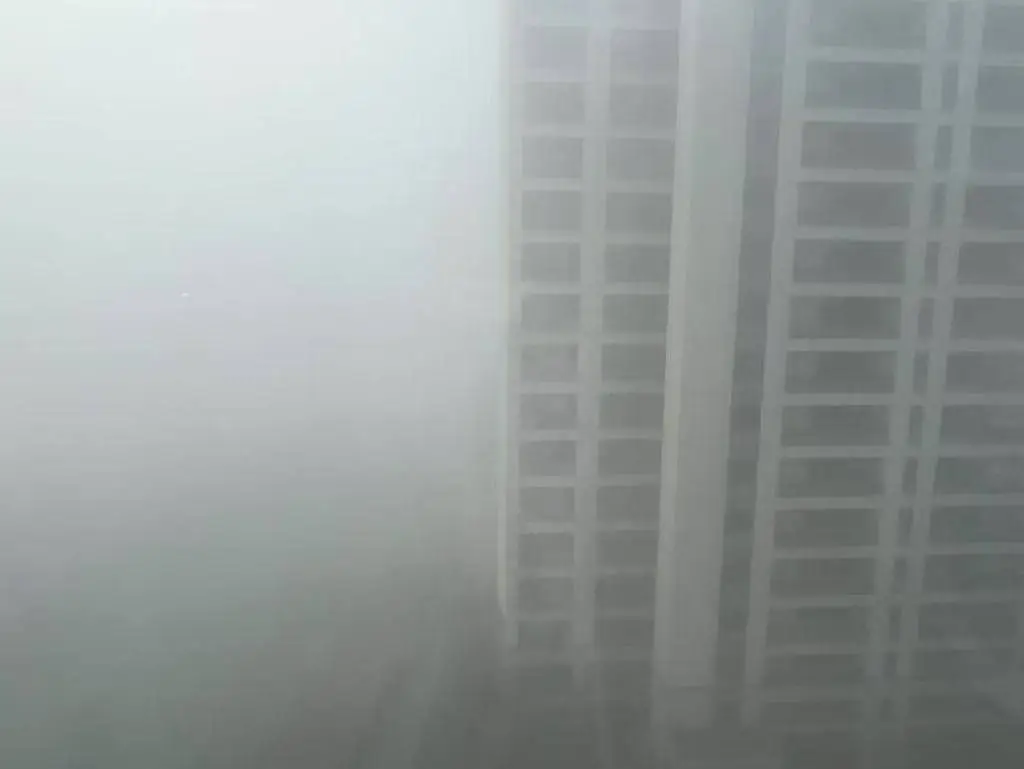 上海大雾预警解除，气温回升至16℃！你准备好迎接晴好天气了吗？  第4张