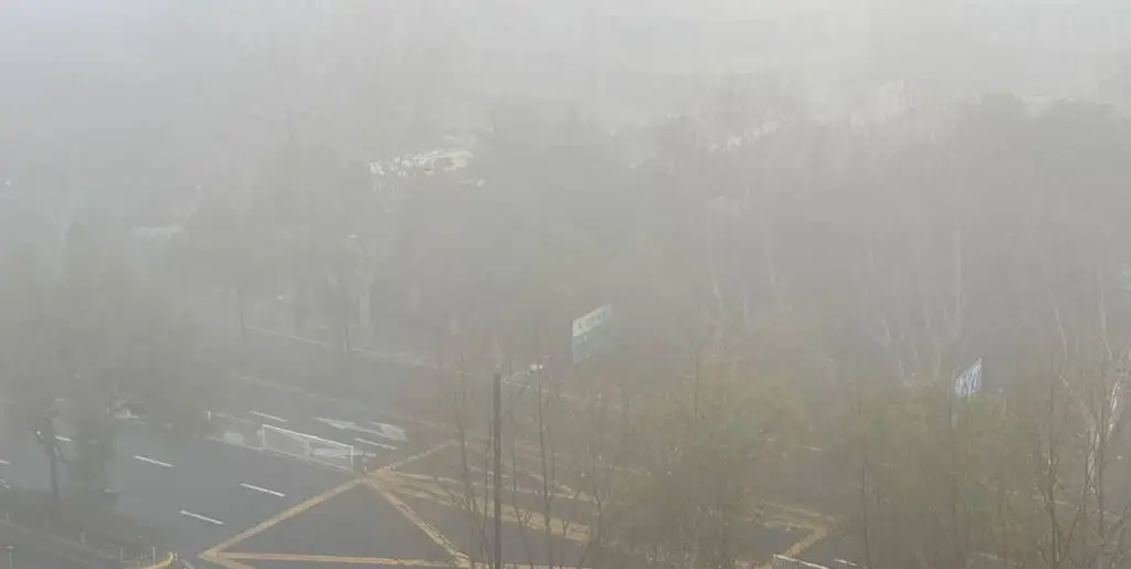上海大雾预警解除，气温回升至16℃！你准备好迎接晴好天气了吗？  第5张