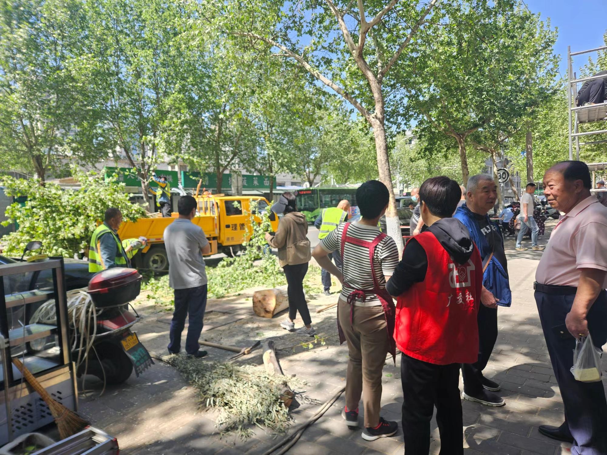 大风刮倒大树，社区紧急行动！他们是如何在30分钟内化解这场危机的？  第4张