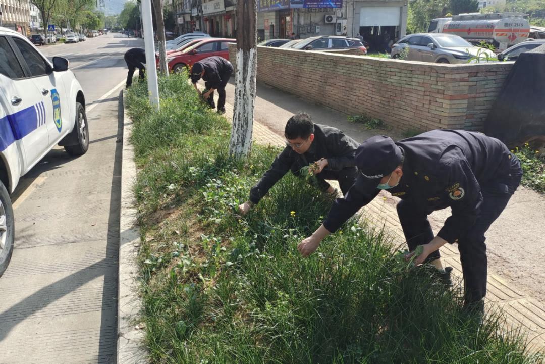 遂昌县整治毁绿种菜乱象，为何市民纷纷点赞？