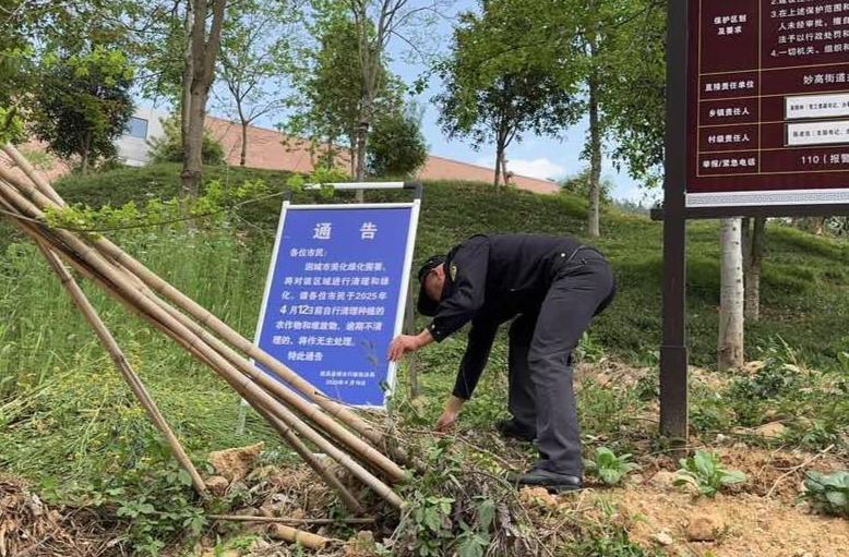遂昌县整治毁绿种菜乱象，为何市民纷纷点赞？  第3张