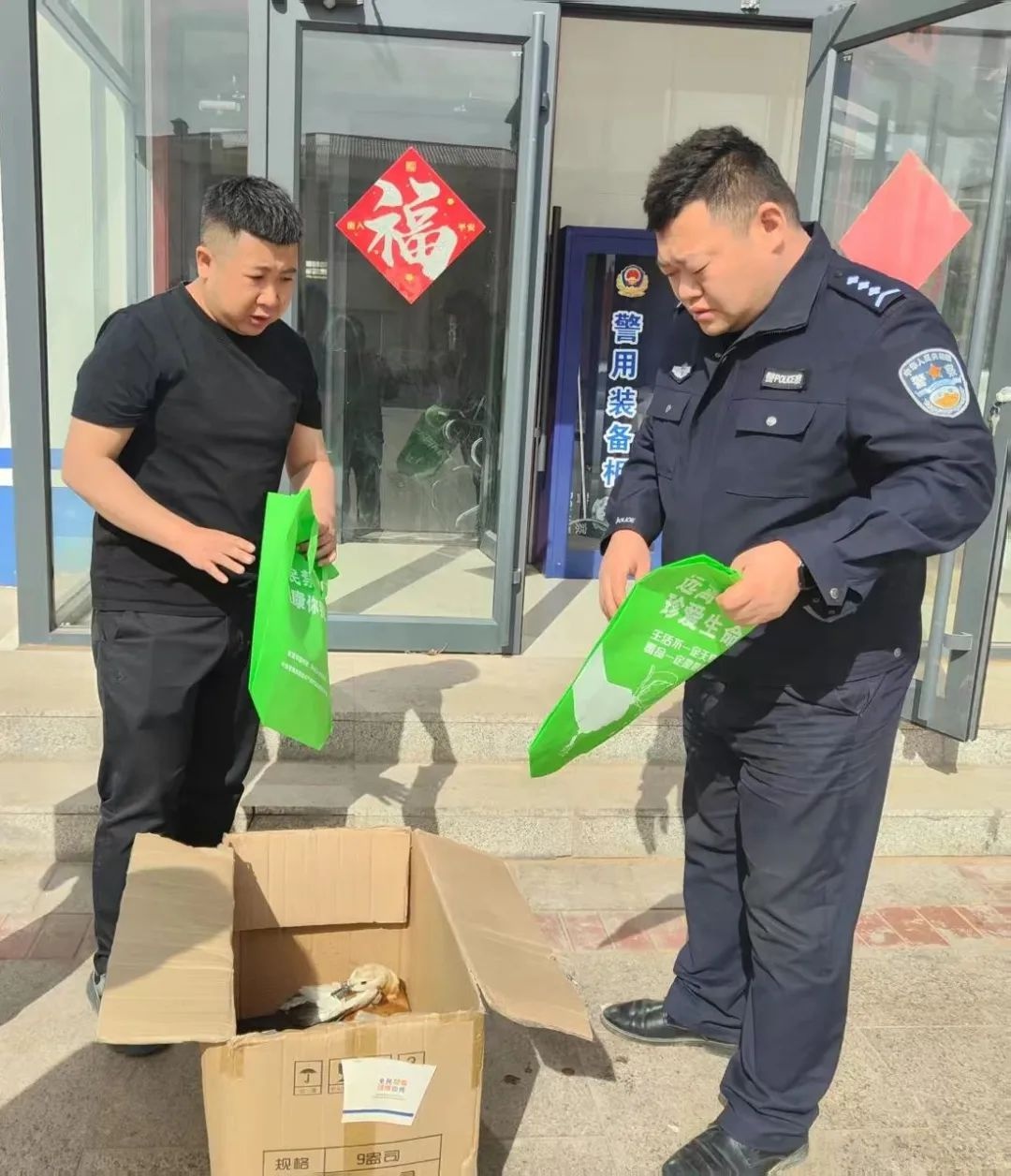 村民地里惊现受伤赤麻鸭！国家二级保护动物为何频频受伤？  第3张