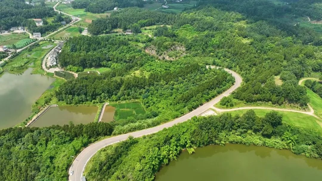 南充交通大爆发！2025年将建成多少公里高速公路？  第3张