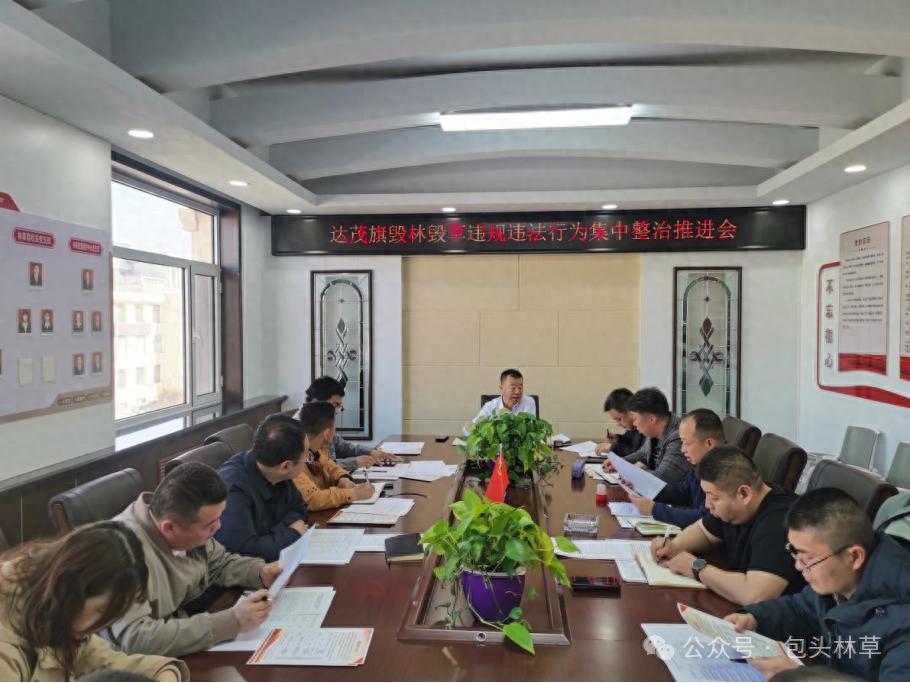达茂旗打响毁林毁草整治攻坚战！这些措施将如何守护我们的绿色家园？
