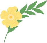 什么？果都人民春日不人挤人赏花，竟坐上小飞机冲300米高空  第6张