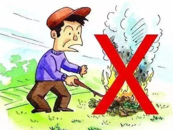 紧急避险指南：遇到这些危险情况，你准备好了吗？  第8张