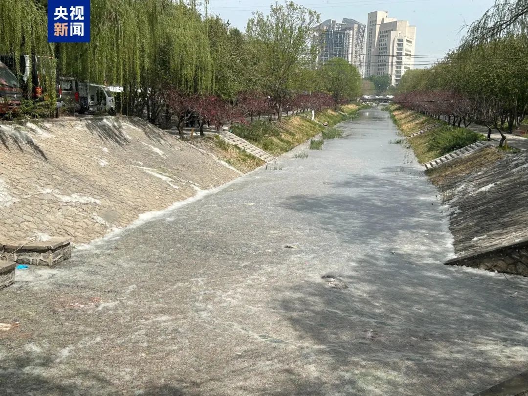 31.5℃！北京4月气温创历史第二高，你的短袖准备好了吗？  第2张