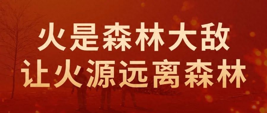 4月16日县委书记主持港口码头运营会，水运经济如何挖潜增效提升运营能力？