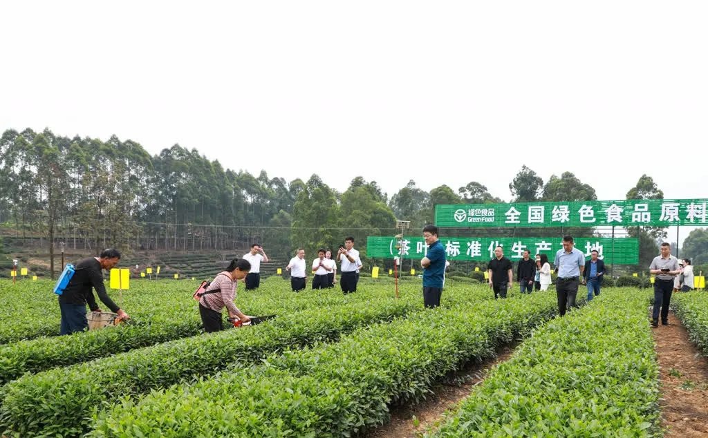 5月14日全国绿色食品原料标准化生产基地建设培训在哪举办？来了多少人？  第3张