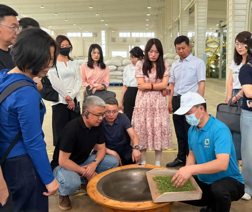 5月14日全国绿色食品原料标准化生产基地建设培训在哪举办？来了多少人？  第4张