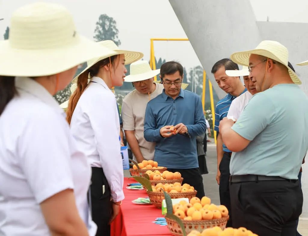 5月14日全国绿色食品原料标准化生产基地建设培训在哪举办？来了多少人？  第5张