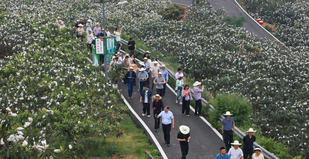 5月14日全国绿色食品原料标准化生产基地建设培训在哪举办？来了多少人？  第8张