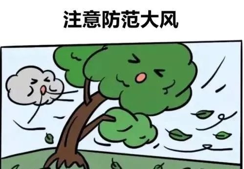 大风蓝色预警！凉州区将现6级以上大风并伴有沙尘？速看防风攻略  第2张