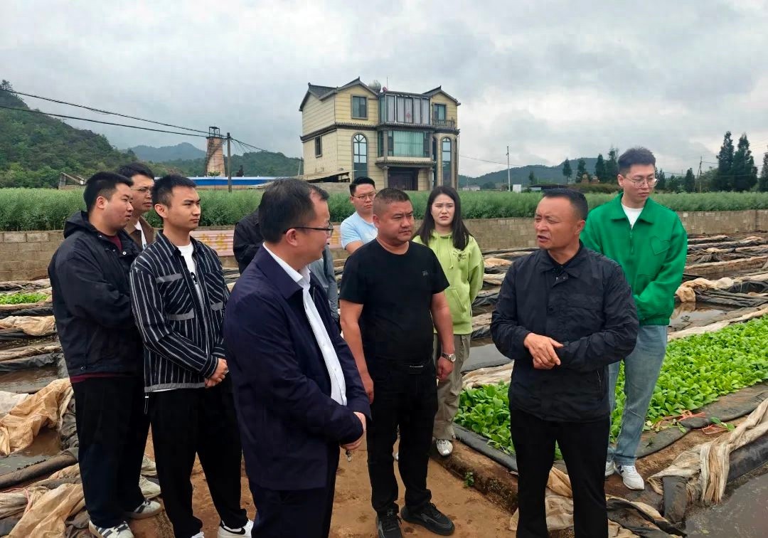 罗平农商行组织青年员工交流学习！三农情怀如何深度激发？  第1张