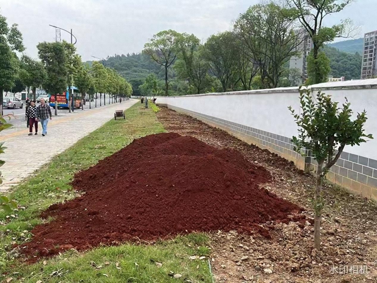 苏仙区协作路绿地焕新！2000 余平边角地变身生态景观带？  第1张