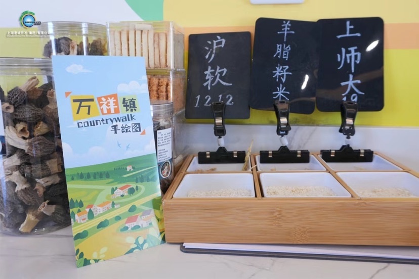 乡间窄路转角处竟藏着这么多宝藏？港城·奇秀梦想中心探秘  第5张