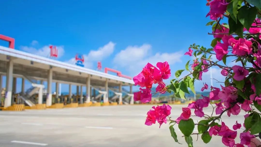 五月繁花似锦！揭惠高速凭何克服重重困难提升绿化品质？  第3张