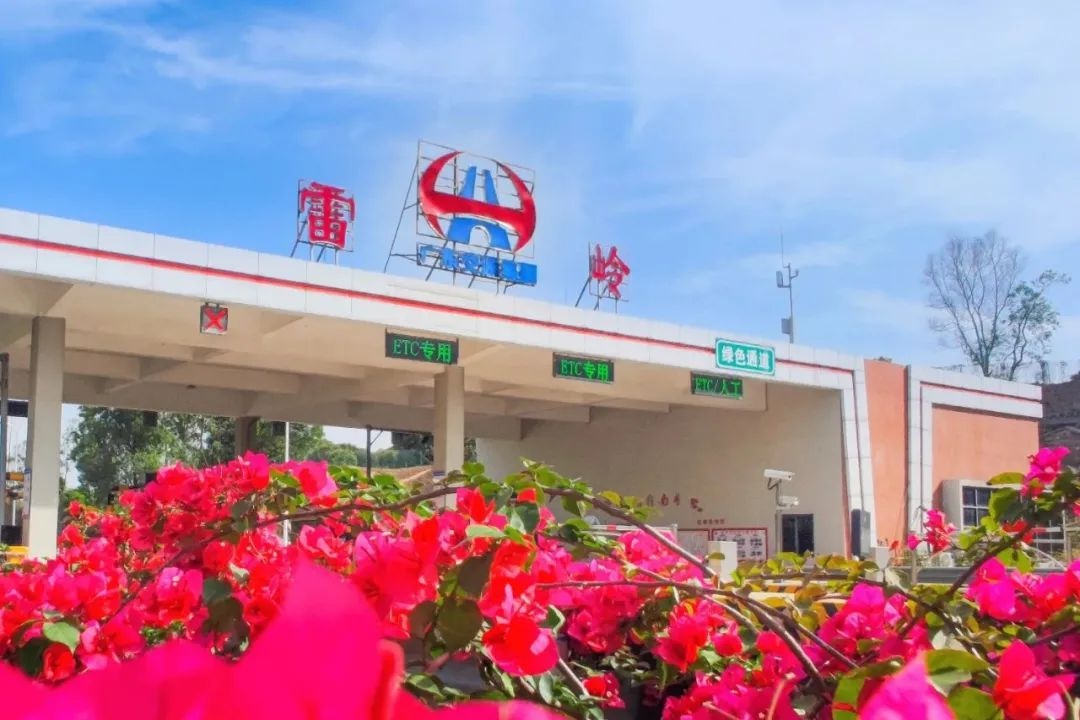五月繁花似锦！揭惠高速凭何克服重重困难提升绿化品质？  第6张