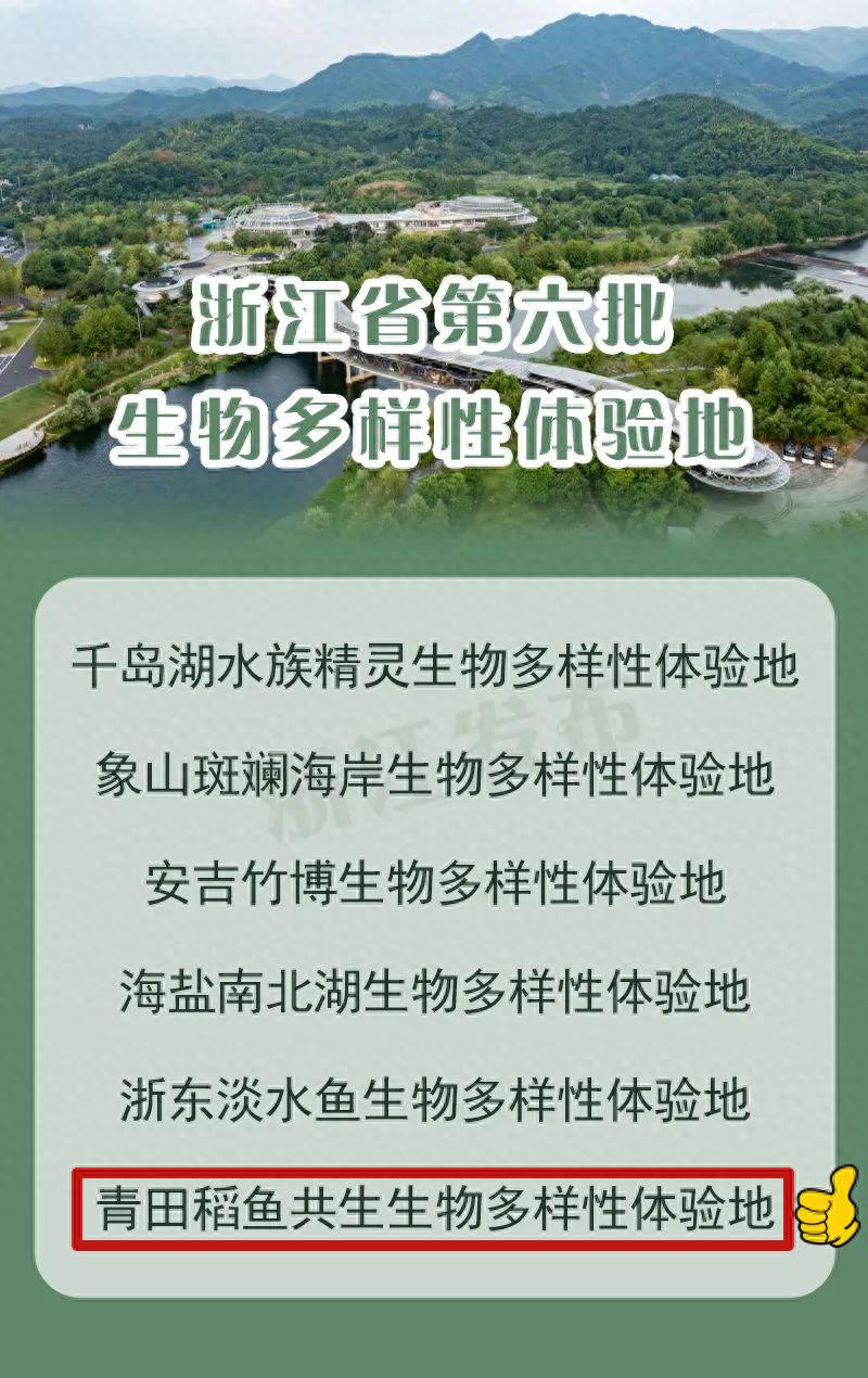青田稻鱼共生生物多样性体验地缘何脱颖而出？新增体验地亮点全解析  第1张