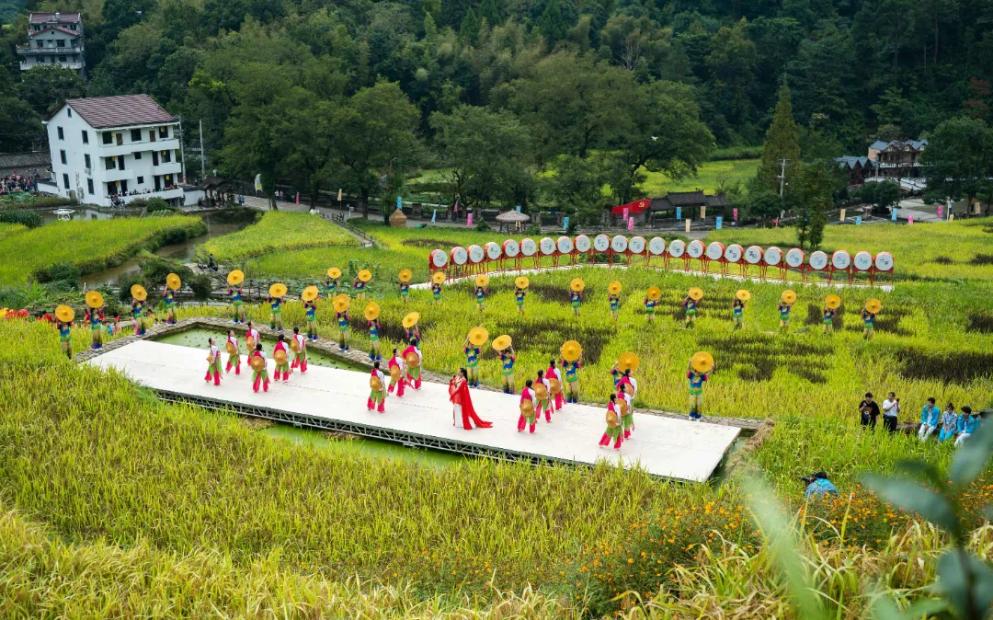 青田稻鱼共生生物多样性体验地缘何脱颖而出？新增体验地亮点全解析  第3张