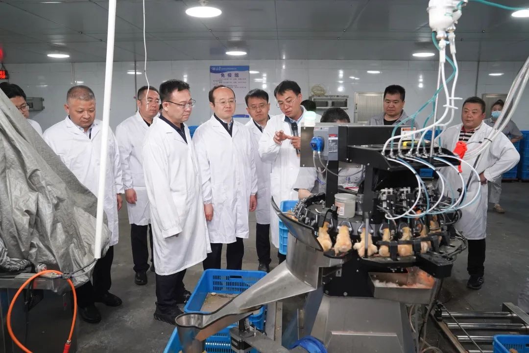5月15—16日太谷区招商考察成果丰硕，现场签约背后有何秘诀？  第4张